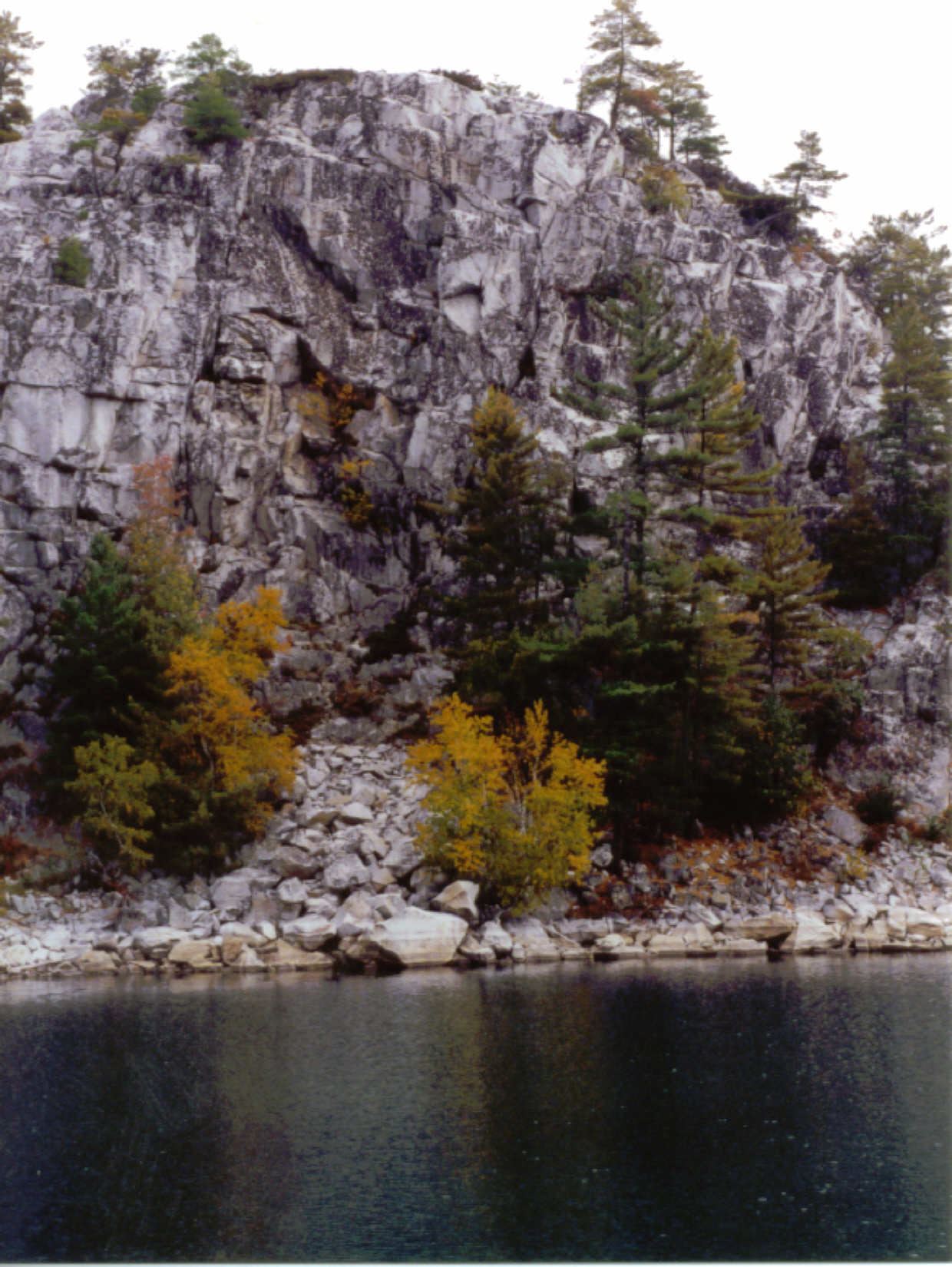 images/NC-13.jpg